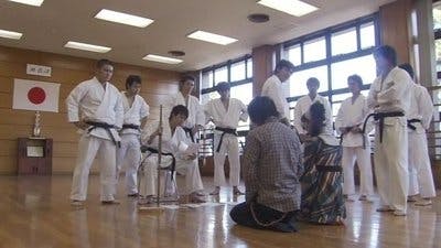 Assistir Kamen Rider Temporada 17 Episódio 9 Online em HD