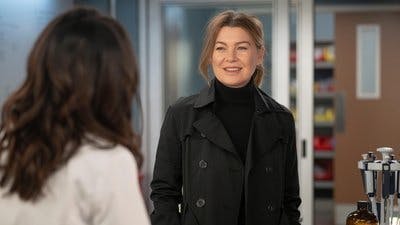 Assistir Anatomia de Grey Temporada 20 Episódio 3 Online em HD