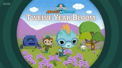 Assistir Octonautas: Missão Planeta Temporada 3 Episódio 5 Online em HD