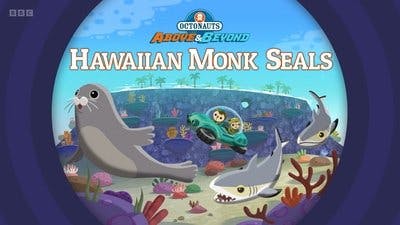 Assistir Octonautas: Missão Planeta Temporada 4 Episódio 20 Online em HD