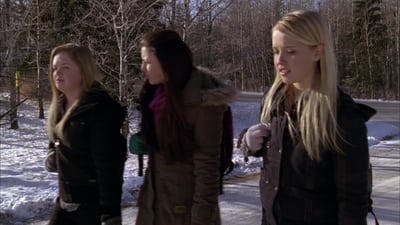 Assistir Heartland Temporada 3 Episódio 17 Online em HD