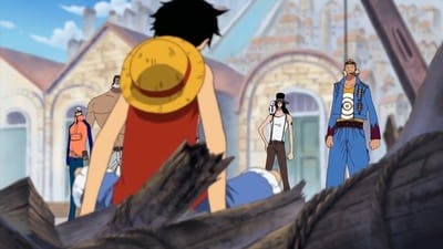 Assistir One Piece Temporada 8 Episódio 239 Online em HD