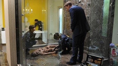 Assistir Bones Temporada 6 Episódio 10 Online em HD