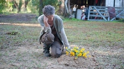 Assistir The Walking Dead Temporada 4 Episódio 14 Online em HD