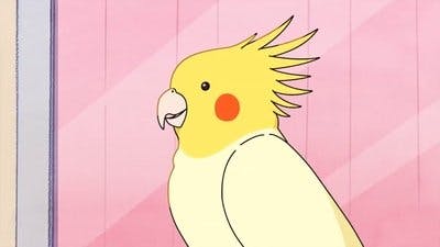 Assistir Gal to Kyouryuu Temporada 1 Episódio 10 Online em HD