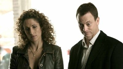Assistir CSI: Nova York Temporada 2 Episódio 10 Online em HD