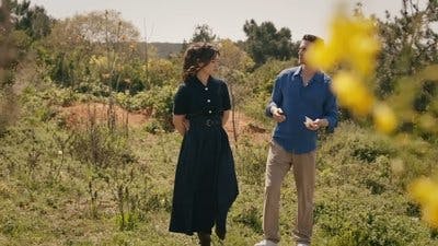 Assistir Winds of Love Temporada 1 Episódio 95 Online em HD