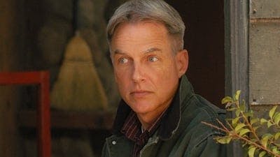 Assistir NCIS: Investigação Naval Temporada 1 Episódio 15 Online em HD