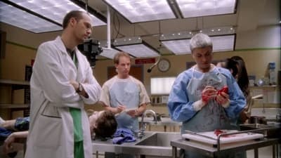 Assistir ER: Plantão Médico Temporada 2 Episódio 13 Online em HD