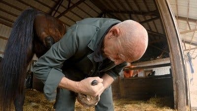 Assistir Clínica Animal com Dr. Pol Temporada 13 Episódio 10 Online em HD