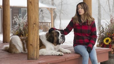 Assistir Heartland Temporada 6 Episódio 15 Online em HD