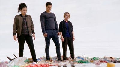 Assistir Scorpion: Serviço de Inteligência Temporada 4 Episódio 9 Online em HD