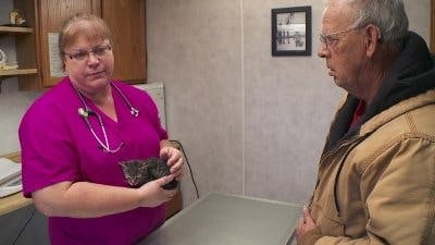 Assistir Clínica Animal com Dr. Pol Temporada 15 Episódio 6 Online em HD