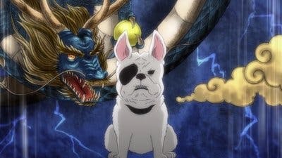 Assistir Oda Cinnamon Nobunaga Temporada 1 Episódio 1 Online em HD