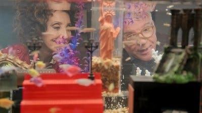 Assistir Homicídios ao Domicílio Temporada 3 Episódio 4 Online em HD