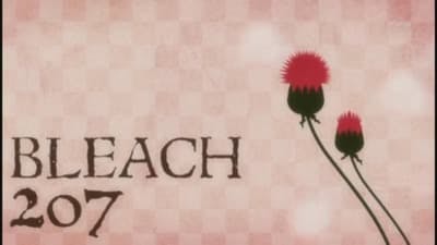 Assistir Bleach Temporada 1 Episódio 207 Online em HD