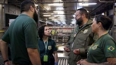 Assistir Airport Brazil: Restricted Areas Temporada 6 Episódio 12 Online em HD