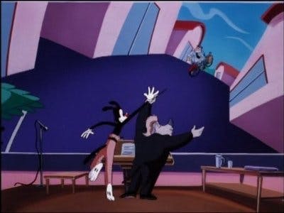 Assistir Animaniacs Temporada 5 Episódio 21 Online em HD