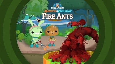 Assistir Octonautas: Missão Planeta Temporada 1 Episódio 22 Online em HD