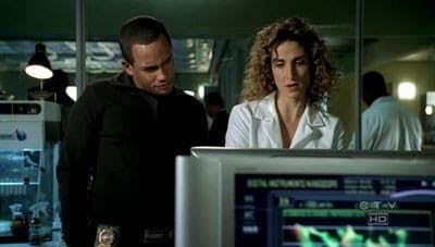 Assistir CSI: Nova York Temporada 3 Episódio 10 Online em HD