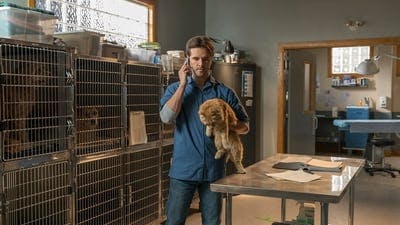 Assistir Heartland Temporada 11 Episódio 14 Online em HD