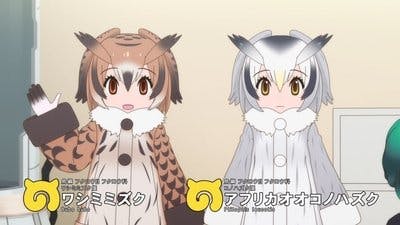Assistir Kemono Friends Temporada 2 Episódio 6 Online em HD