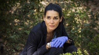 Assistir Rizzoli & Isles Temporada 7 Episódio 9 Online em HD