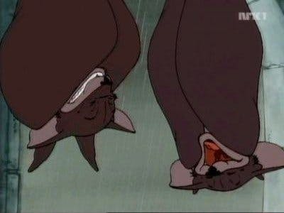 Assistir Animais do Bosque dos Vinténs Temporada 3 Episódio 2 Online em HD