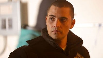 Assistir Chicago P.D.: Distrito 21 Temporada 11 Episódio 13 Online em HD