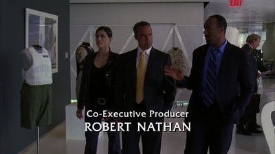 Assistir Lei & Ordem Temporada 17 Episódio 6 Online em HD
