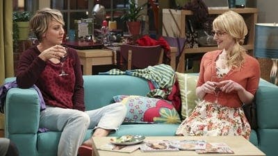 Assistir Big Bang: A Teoria Temporada 8 Episódio 21 Online em HD