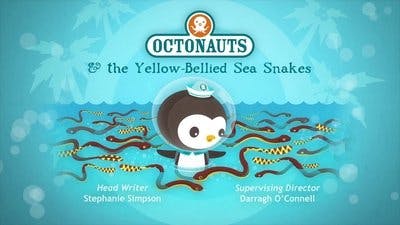 Assistir Octonautas Temporada 4 Episódio 17 Online em HD