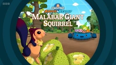 Assistir Octonautas: Missão Planeta Temporada 3 Episódio 18 Online em HD