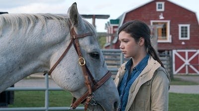 Assistir Heartland Temporada 9 Episódio 12 Online em HD