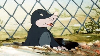 Assistir Animais do Bosque dos Vinténs Temporada 1 Episódio 9 Online em HD