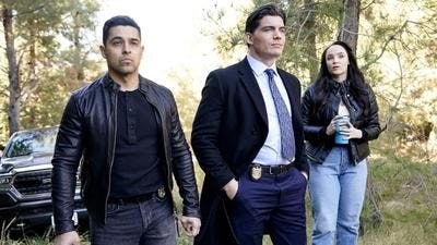 Assistir NCIS: Investigação Naval Temporada 22 Episódio 15 Online em HD