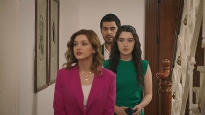 Assistir Winds of Love Temporada 1 Episódio 106 Online em HD