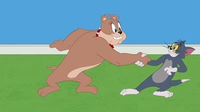 Assistir O Show de Tom e Jerry Temporada 2 Episódio 51 Online em HD