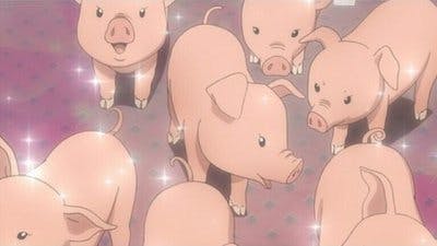 Assistir Silver Spoon Temporada 1 Episódio 3 Online em HD
