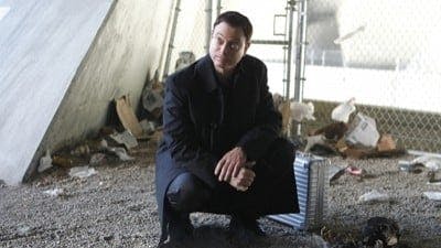 Assistir CSI: Nova York Temporada 8 Episódio 10 Online em HD