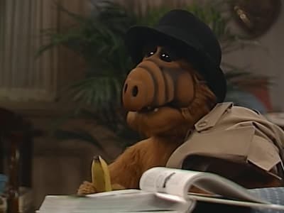 Assistir ALF, o ETeimoso Temporada 4 Episódio 6 Online em HD