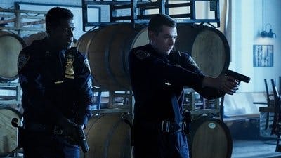 Assistir Law & Order: Crime Organizado Temporada 5 Episódio 4 Online em HD