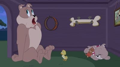 Assistir O Show de Tom e Jerry Temporada 2 Episódio 24 Online em HD