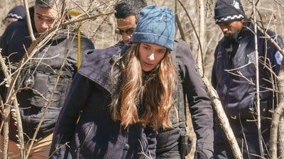 Assistir Chicago P.D.: Distrito 21 Temporada 9 Episódio 20 Online em HD