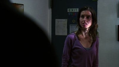 Assistir Lei & Ordem Temporada 17 Episódio 9 Online em HD