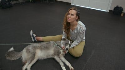Assistir Apenas Cães Temporada 2 Episódio 3 Online em HD