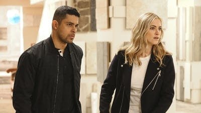 Assistir NCIS: Investigação Naval Temporada 14 Episódio 19 Online em HD