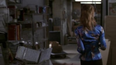 Assistir Lei & Ordem Temporada 8 Episódio 12 Online em HD