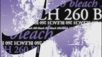 Assistir Bleach Temporada 1 Episódio 260 Online em HD