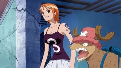 Assistir One Piece Temporada 8 Episódio 245 Online em HD